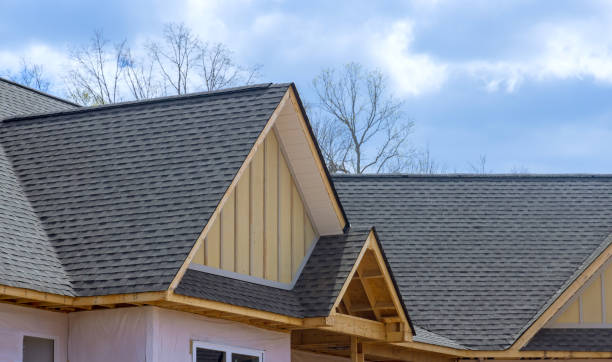 Best Roof Insulation Installation  in Banks Springs, LA